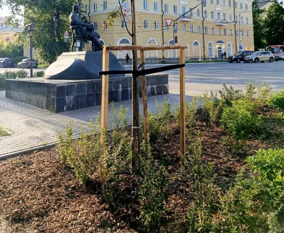 Неизвестные уничтожили молодые посадки возле памятника Чижевскому в Калуге.