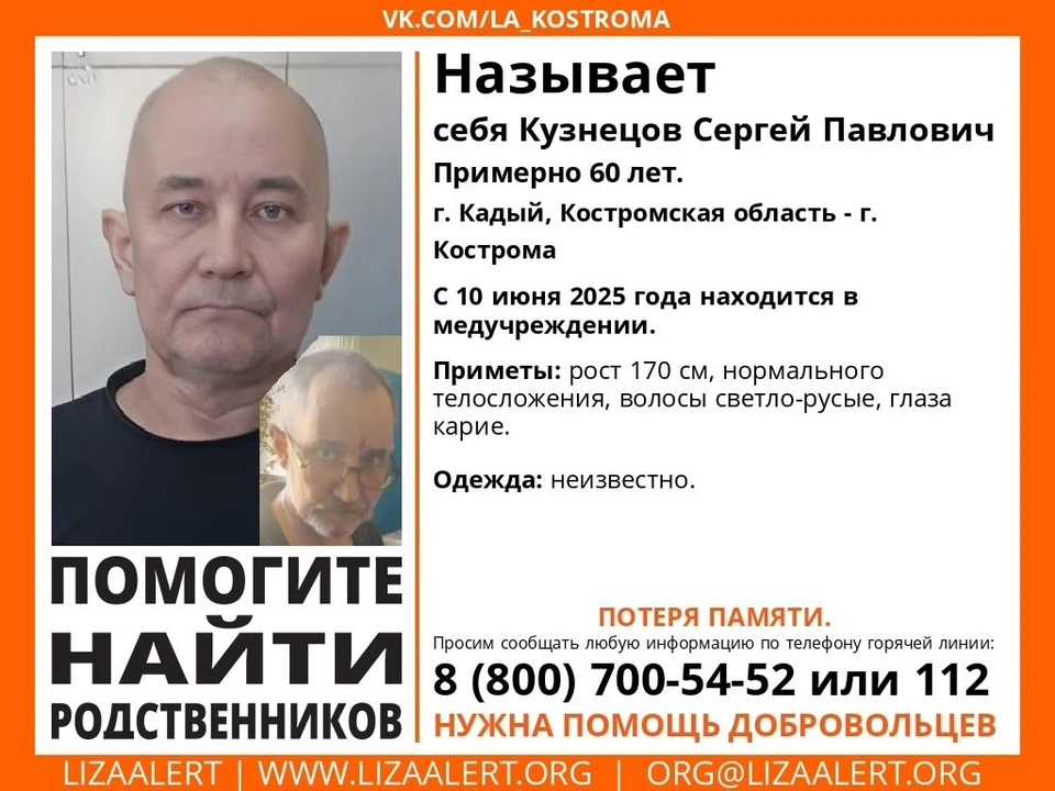 Фото: ДПСО "Лиза Алерт" Костромской области