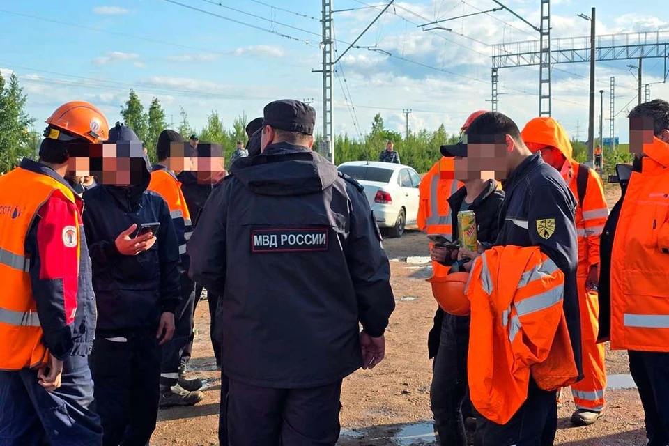 Нарушителей выдворят за пределы России. Фото: Транспортная полиция СЗФО