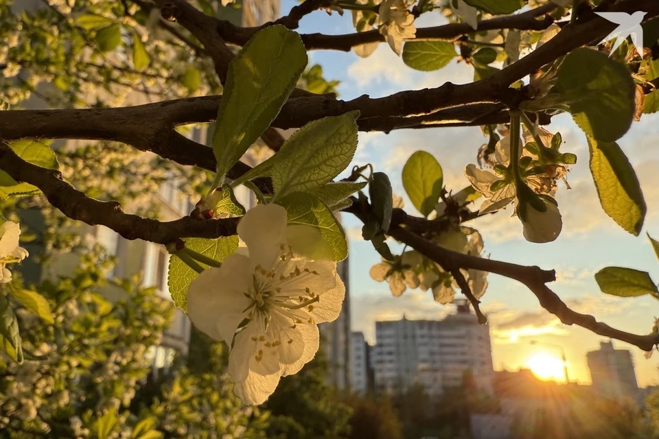 Белорусам назвали даты магнитных бурь во второй месяц лета. Снимок носит иллюстративный характер. Фото: архив «КП»
