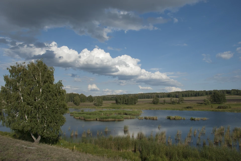 Фото: Андрей КУЗЬМИН.