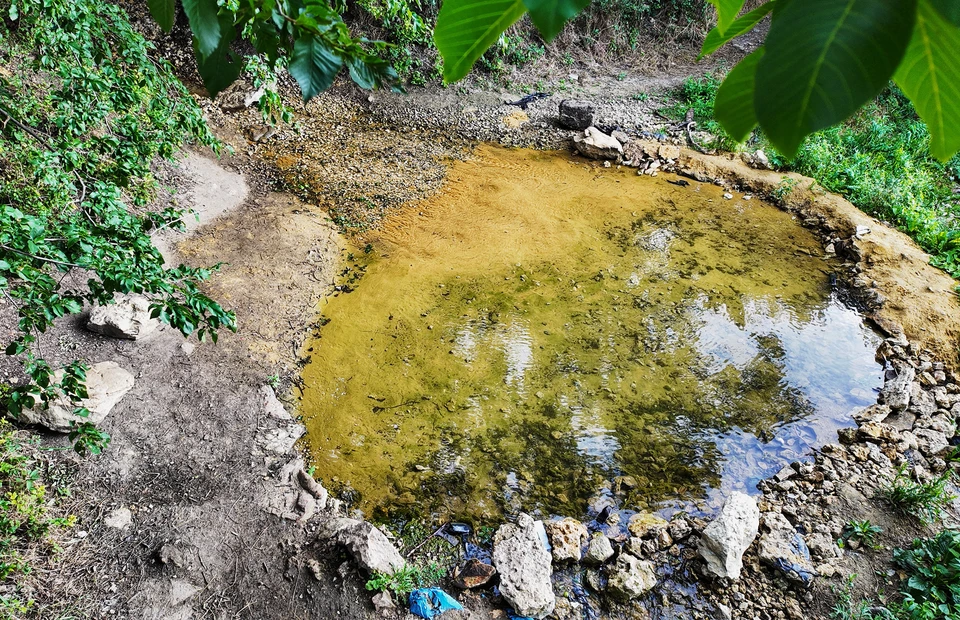 Ручей с кристально чистой водой в Мариуполе