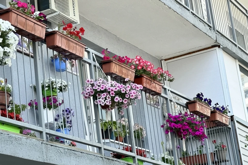 В Красноярске проходит конкурс «Самый благоустроенный район города». Фото: администация города