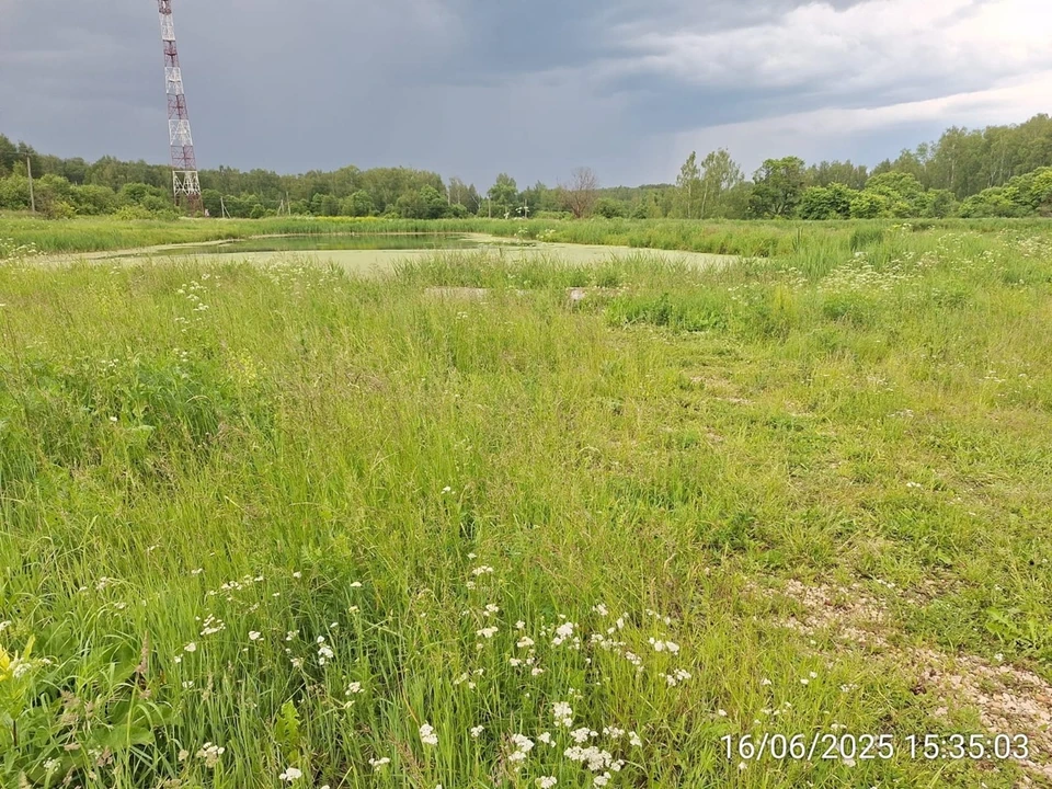Фото: прокуратура Владимирской области