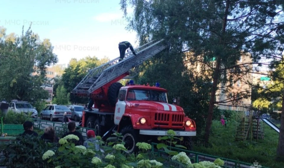 Фото: пресс-служба ГУ МЧС России по Орловской области