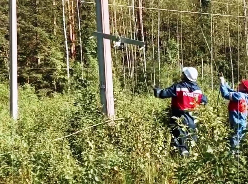 Фото: «Россети Северо-Запад».