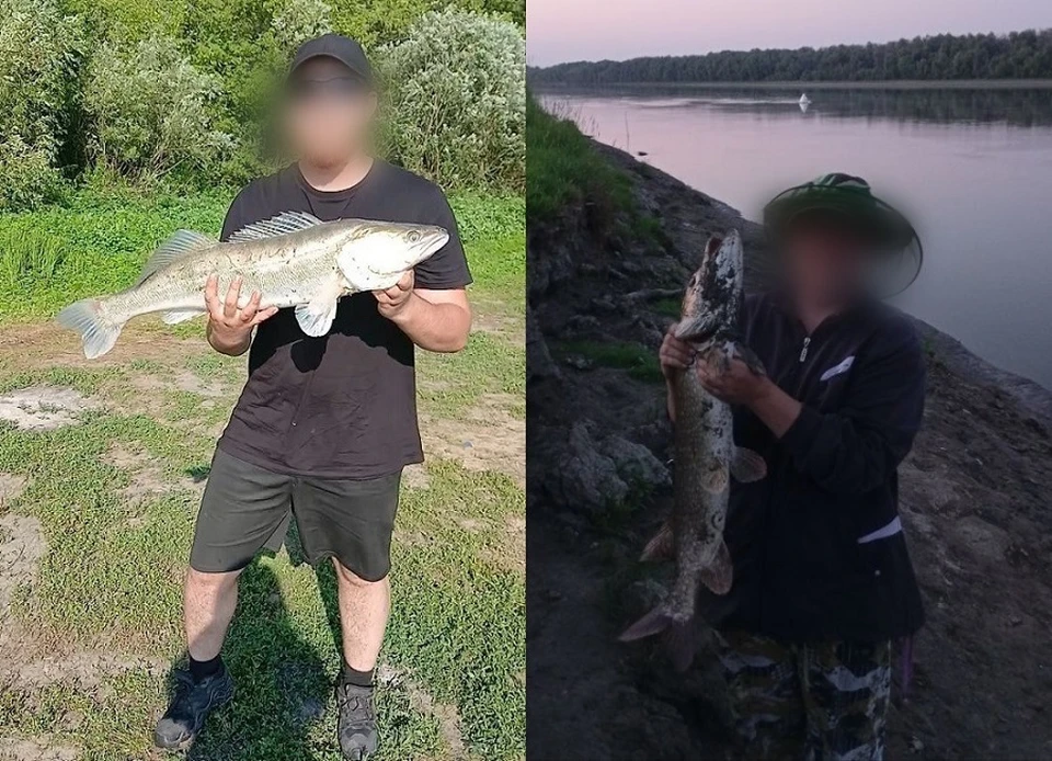 Фото: телеграм-канал «Рыбалка в Омске»
