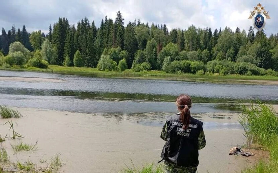 Возбудили уголовное дело. Фото: СУ СК РФ по УР