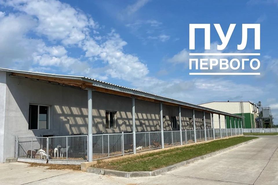 Лукашенко проинспектирует козоводство в Беларуси. Фото: телеграм-канал «Пул Первого».