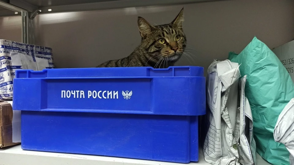 Фото: пресс-служба УФПС Омской области