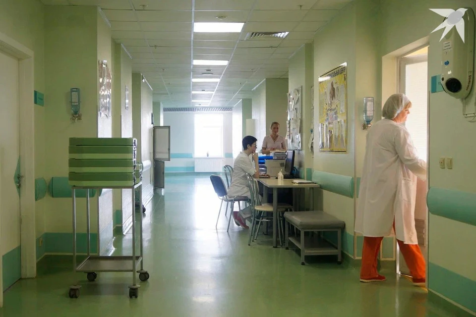 Два человека пострадали от укуса гадюки в Гродненской области. Снимок носит иллюстративный характер.