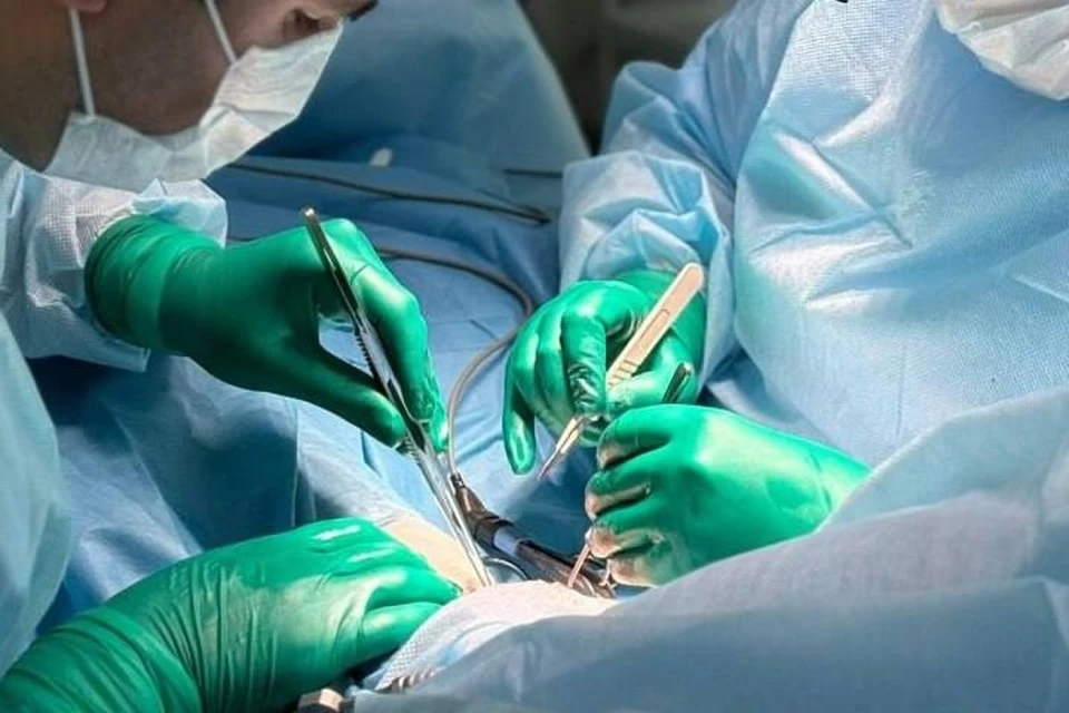 Врачи провели сложную микрохирургическую операцию. Фото: Фото: t.me/brechalov
