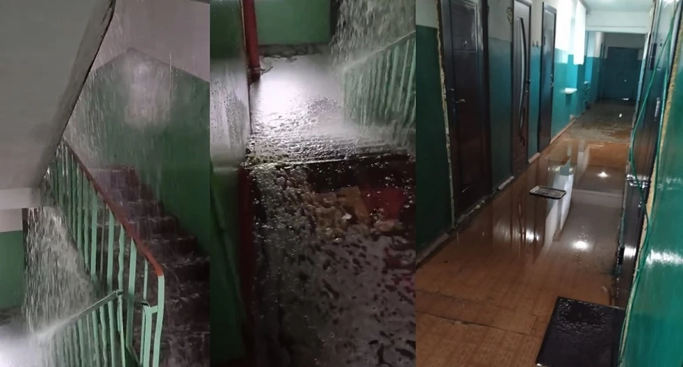 Фото: скриншот с видео телеграм-канала «Омский новостной поезд»