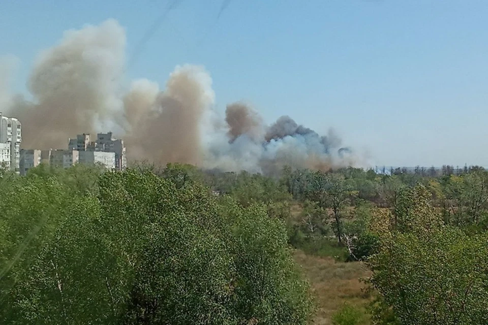 Горящую траву в центре Энергодара удалось потушить. Фото: тг-канал Максима Пухова