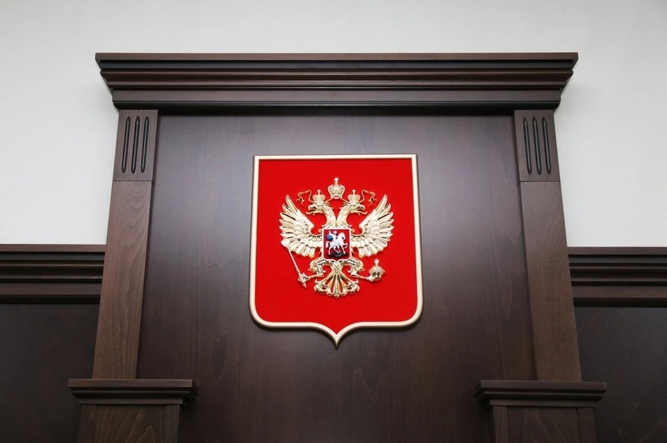 Пятерых судей в суды Рязанской области назначил Путин. Фото: vk.com/sudpress62