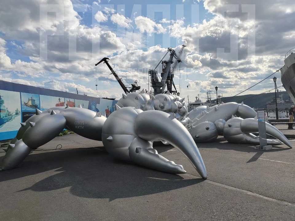 Надувной мурманский краб вернулся в родные края. Фото: Регион 51 / t.me/region_m51