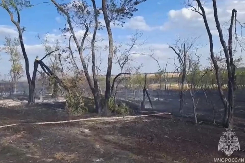 На месте работали 14 человек, использовалось пять спецмашин. Фото: пресс-служба ГУ МЧС России по Ростовской области