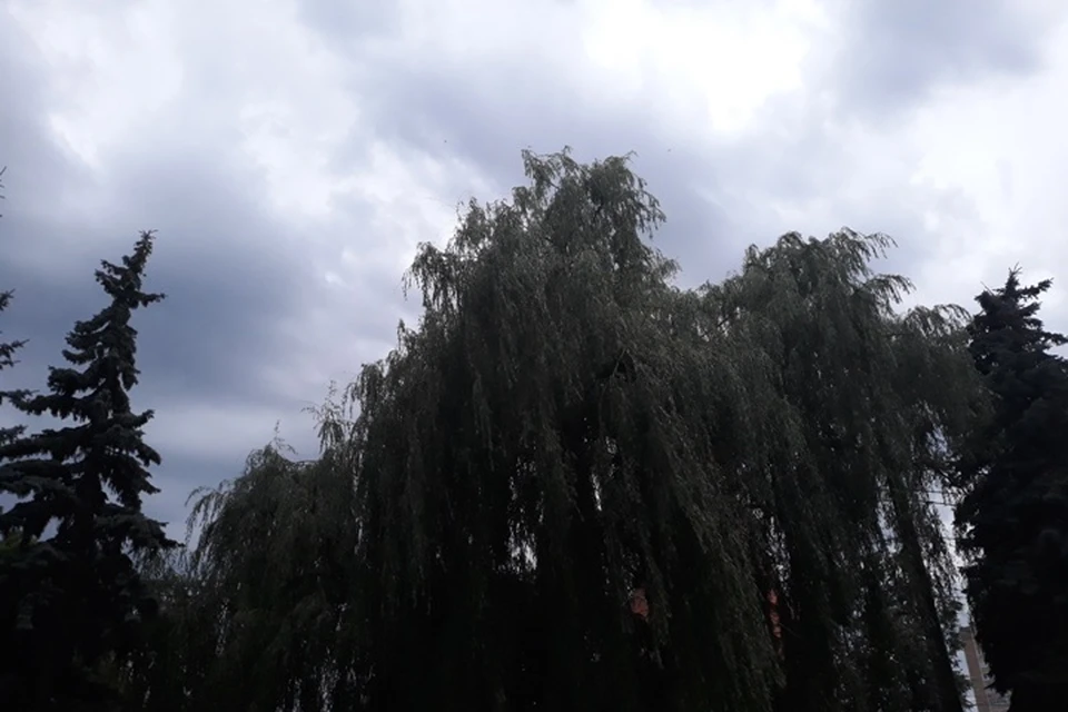 Фото: Надежда ПЕТРУНИНА.