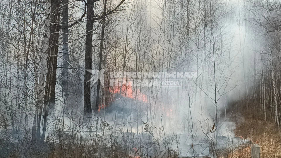 На Ставрополье из-за аномальной жары продлили чрезвычайную пожароопасность