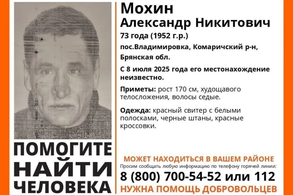 Фото: поисковый отряд "Лиза Алерт", ВКонтакте.