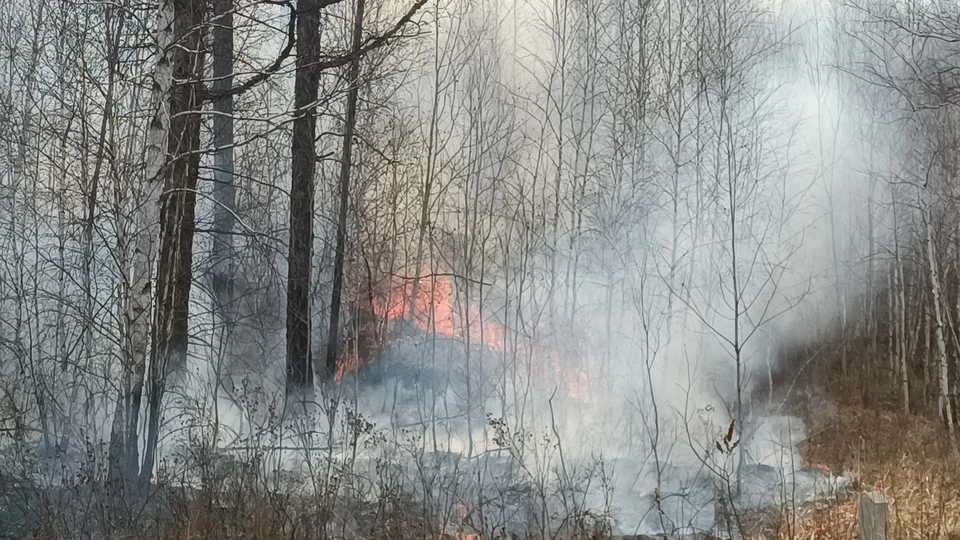 В Нижнеудинском районе действует режим ЧС из-за лесных пожаров.