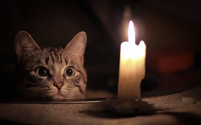 Фото: из архива