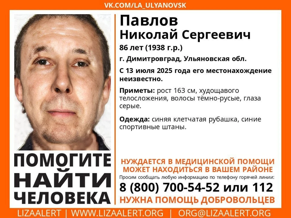 В Ульяновской области пропал пожилой мужчина. Фото ЛизаАлерт