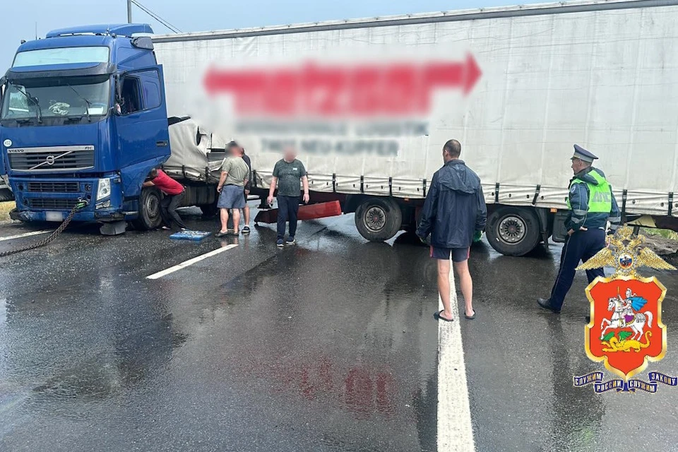 Фото: ГУ МВД России по Московской области
