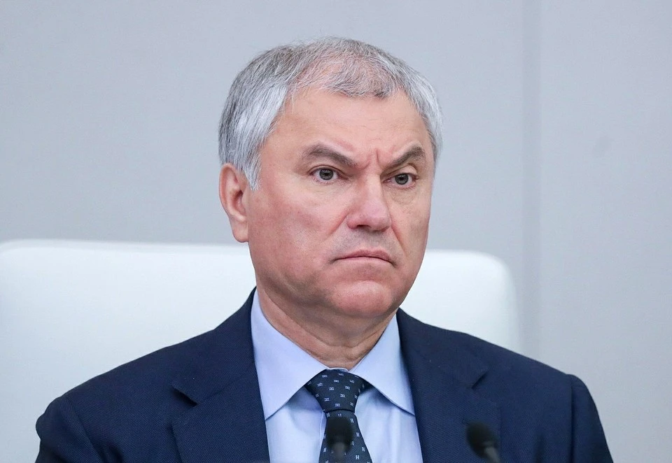 Володин призвал МВД обратить внимание на Минтруда из-за зарубежных специалистов