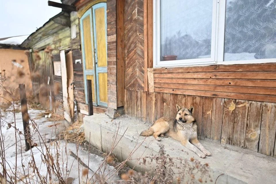 Дом, где жила многодетная семья и погиб младший ребенок