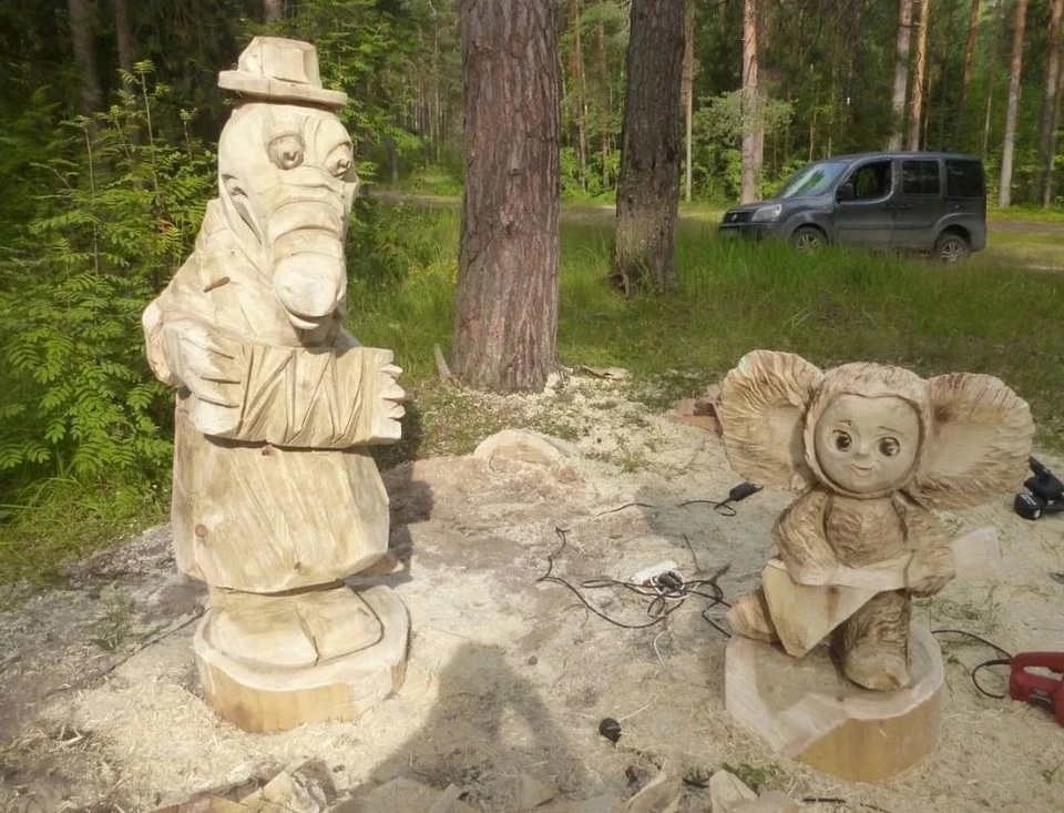 Фото предоставлено Игорем Володиным