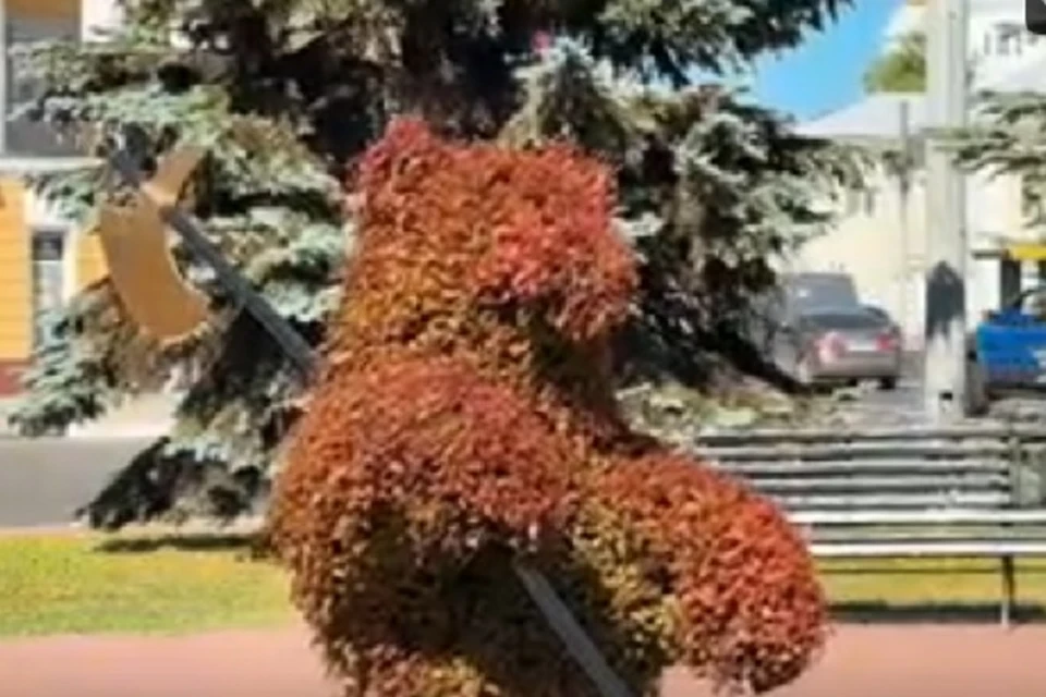Цветочный мишка поселился на площади Волкова.