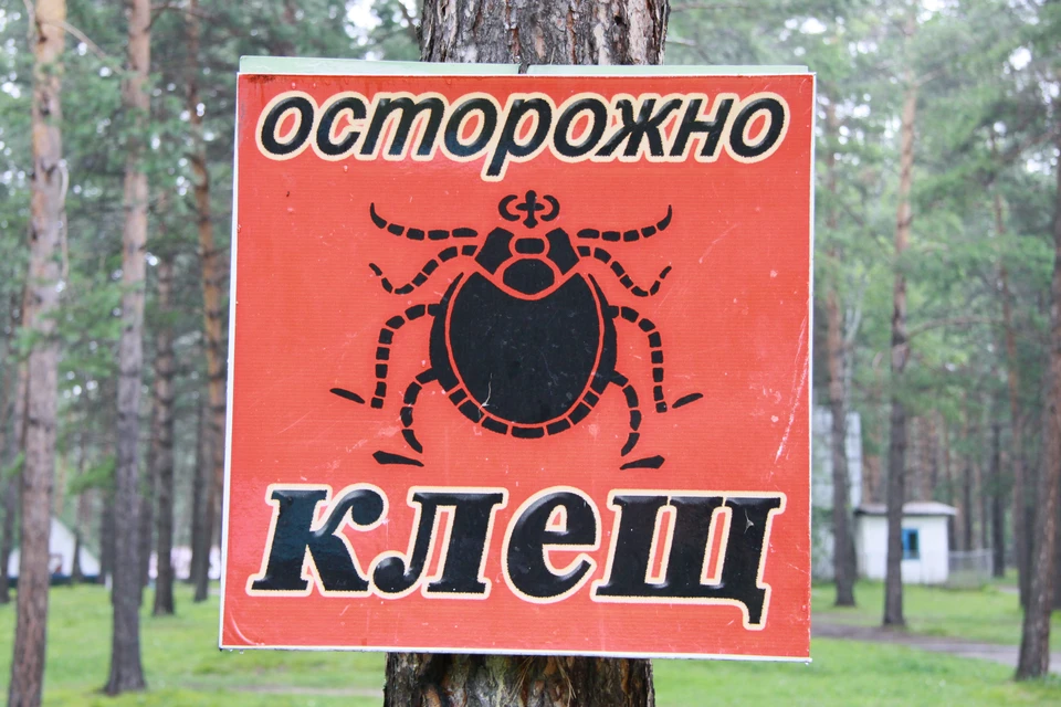 Клещи