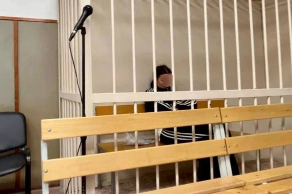В Иркутске суд оштрафовал блогера за дискредитацию Вооруженных Сил России. Фото: СУ СКР Иркутской области.