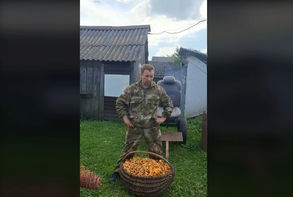 Белорус взорвал интернет, насобирав 50 килограмм лисичек за раз. Фото: стоп-кадр | видео TikTok @archivveske.