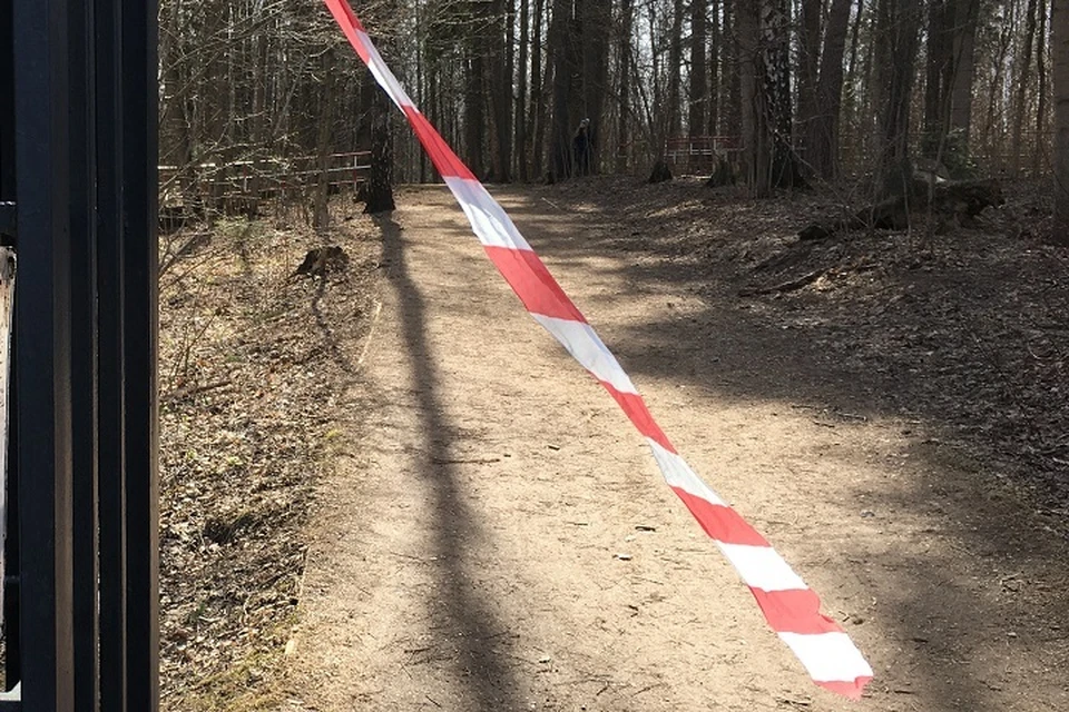 Опасный дом обязали оградить по решению суда в Хабаровске