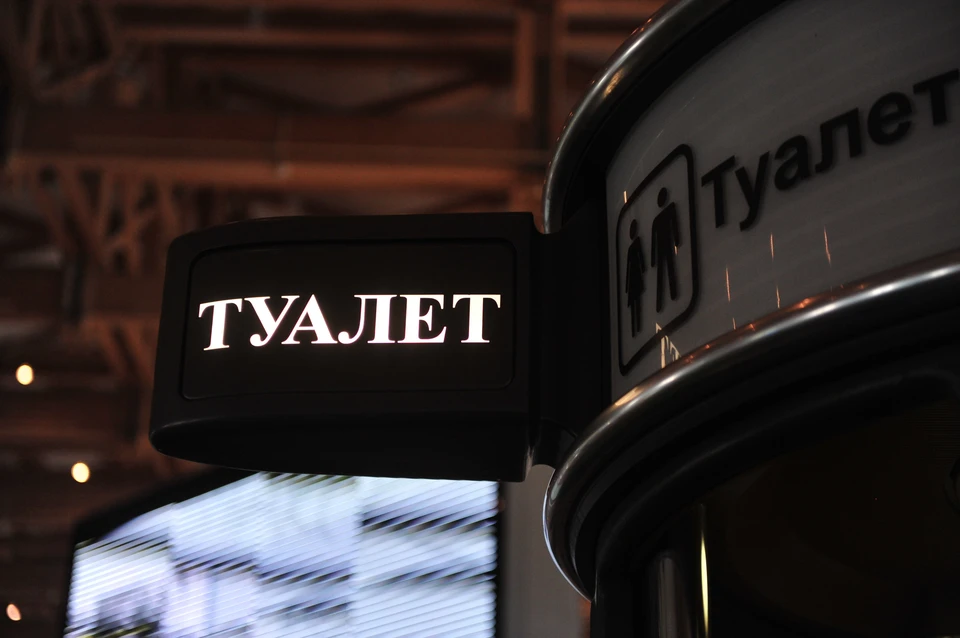 Выполнить работы нужно будет до 20 ноября 2025 года