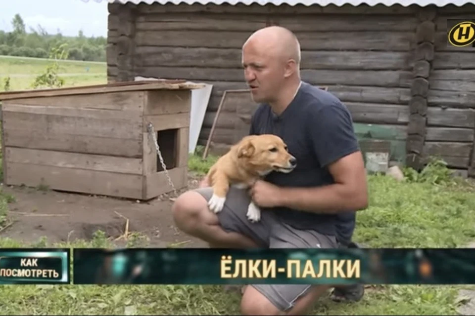 В Могилеве ураган унес будку с собакой далеко в поле. Фото: скриншот с видео ОНТ