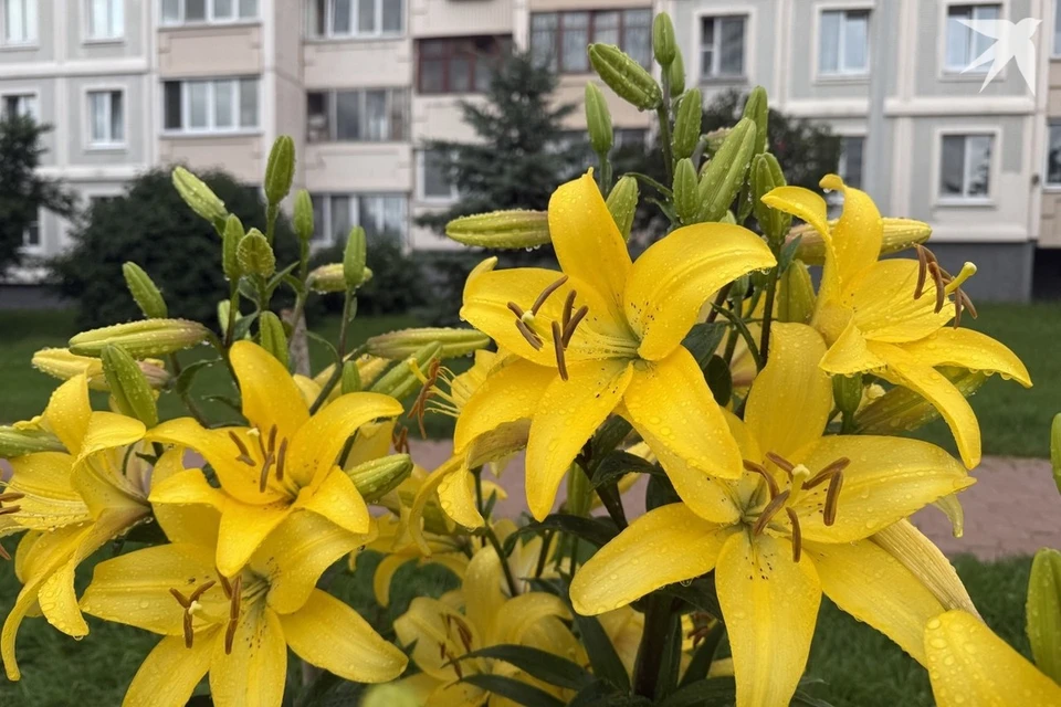 Собрали приметы и запреты на 24 июля, когда отмечают Ольгин день. Снимок носит иллюстративный характер. Фото: архив «КП»