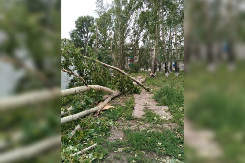 В Зиминском районе третий день устраняют последствия ураганного ветра. Фото: Мария Белоножко