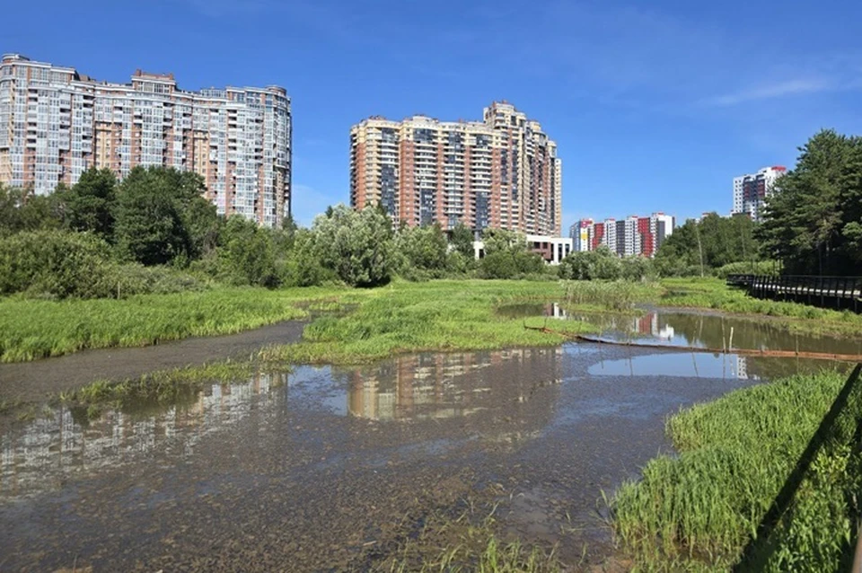 Фото: администрация Сургута