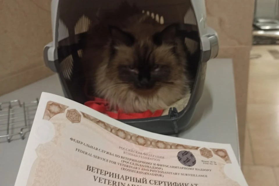 Фото: Управление Россельхознадзора по Красноярскому краю