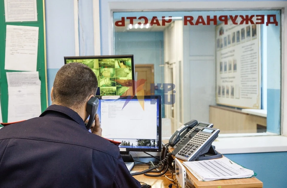«Покупательница» скинула поддельную ссылку с информацией о том, что она уже якобы внесла оплату.