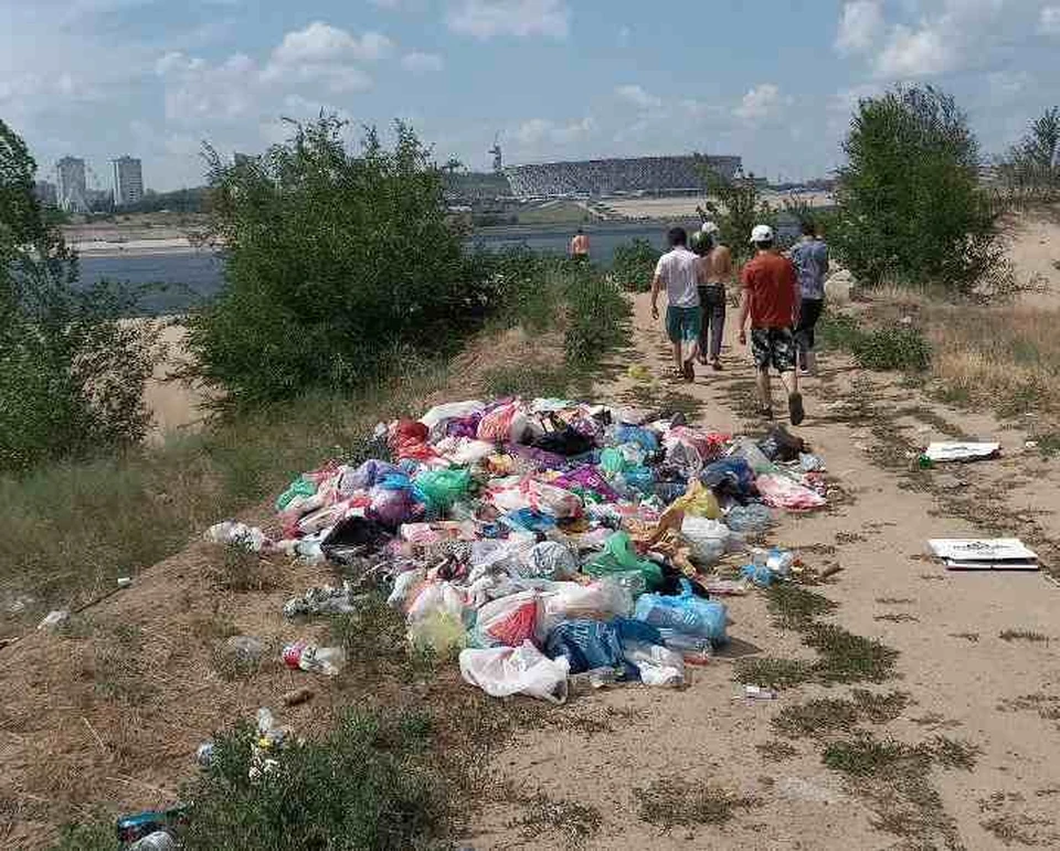 Волгоградцы устроили свинарник в Волго-Ахтубинской пойме. Фото: прислано в редакцию читателем Светланой.