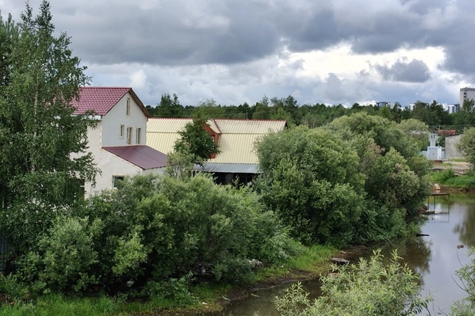 Фото: Татьяна Харина
