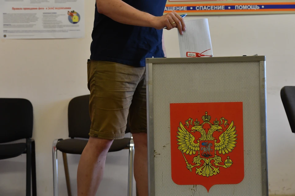 Чтобы убедить людей участвовать в выборах, члены УИК придут к ним в гости.