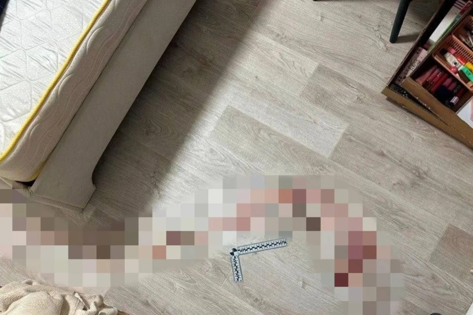 В Новосибирске осудят мужчину, задушившую любовницу из-за долга. Фото: СК по Новосибирской области