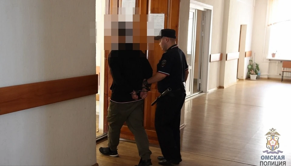 Фото: скриншот с видео телеграм-канала «Омская полиция»