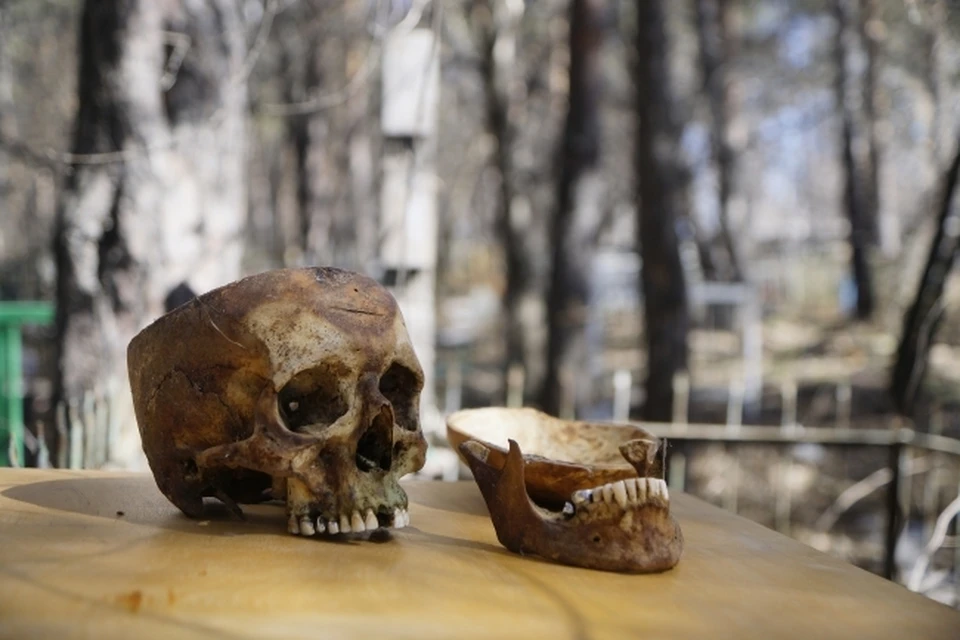 На берегу Оби в Новосибирской области обнаружили останки древних людей