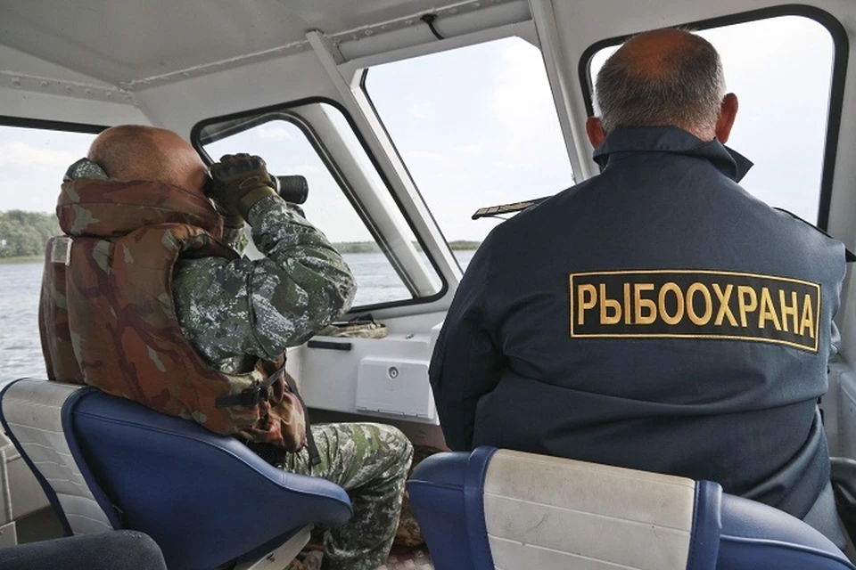 С осетром в лодке попался житель Амурского района в Хабаровском крае
